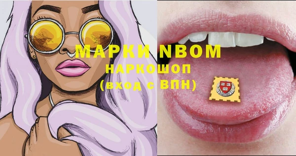 кокс Инсар