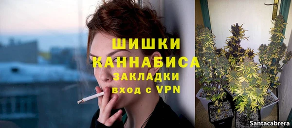кокс Инсар
