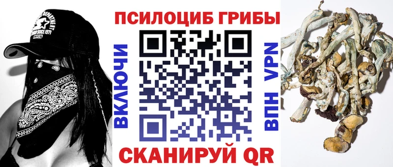 где купить наркоту Карасук Псилоцибиновые грибы мицелий